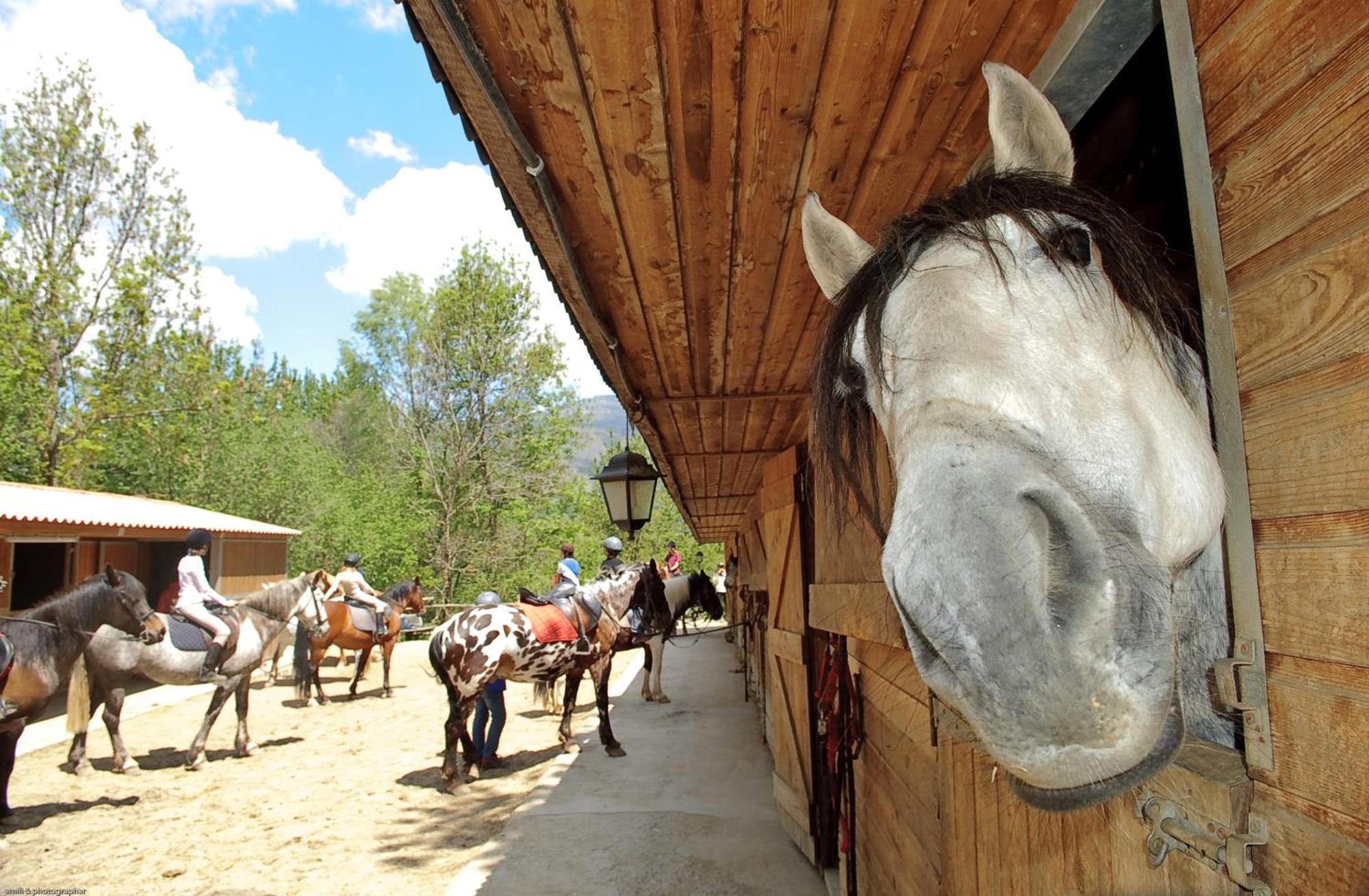 Els Torrents Hotel Bellver de Cerdanya Kültér fotó