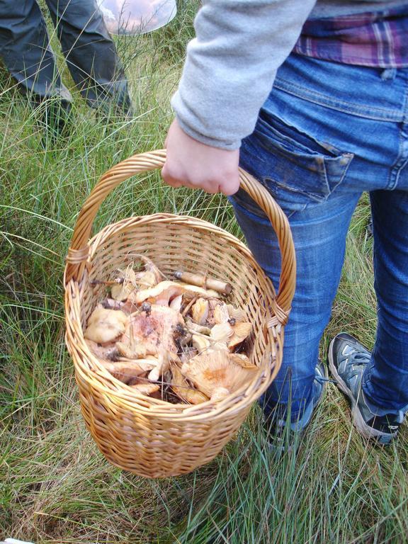 Els Torrents Hotel Bellver de Cerdanya Kültér fotó